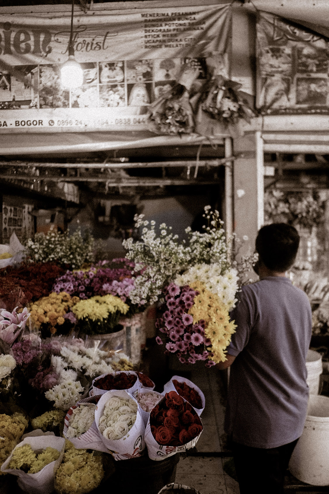 portrait photography